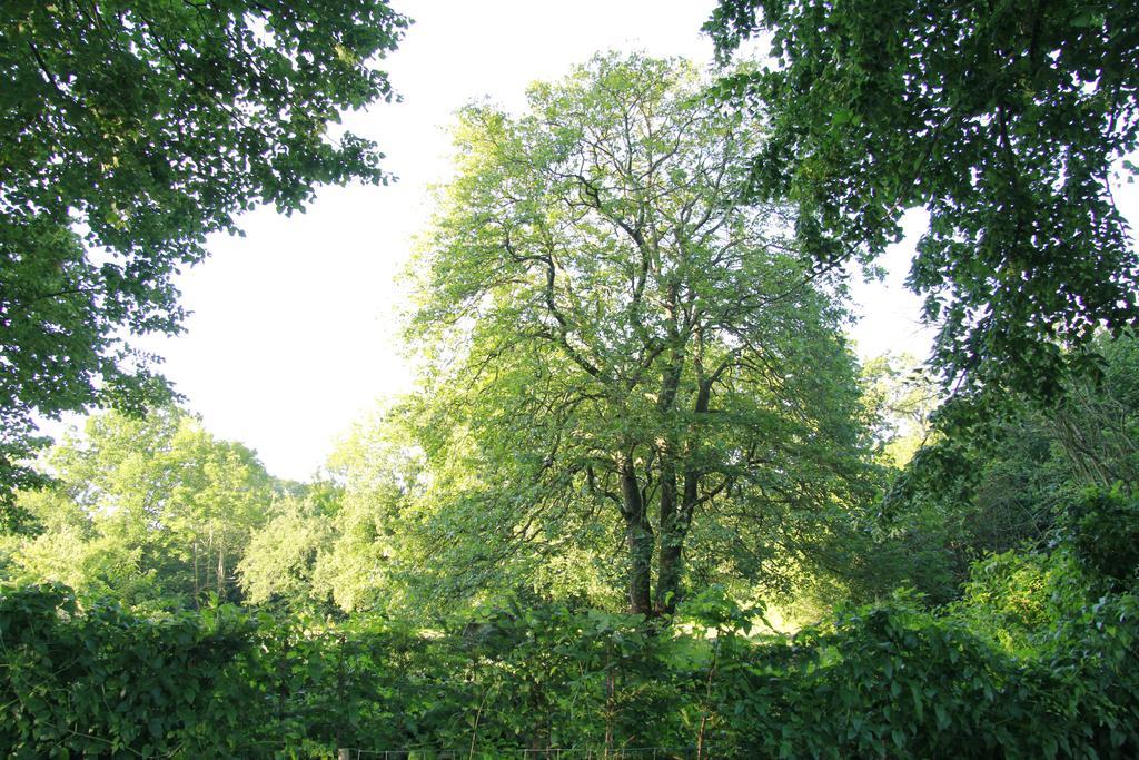 Vemmetofte Praestegard Faxe Extérieur photo